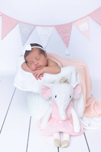BabyDi, Fotografia de recém nascido, Peluche, Newborn, Oeiras