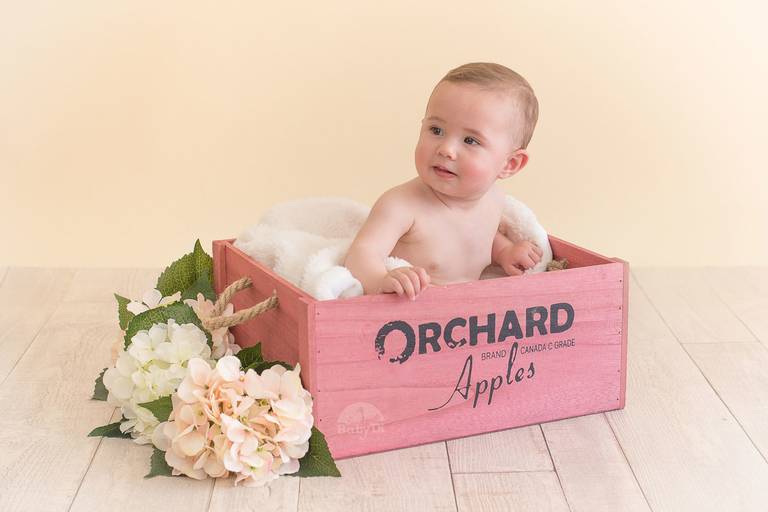 BabyDi, Fotografia de bebé