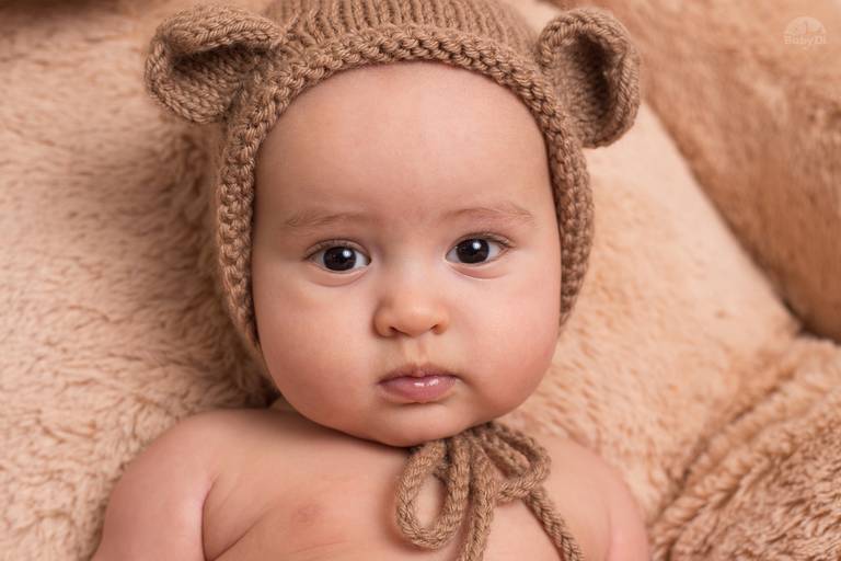 BabyDi, Fotografia de bebé, urso