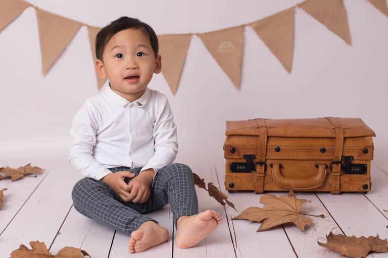 BabyDi, Fotografia de bebé, outono, mala