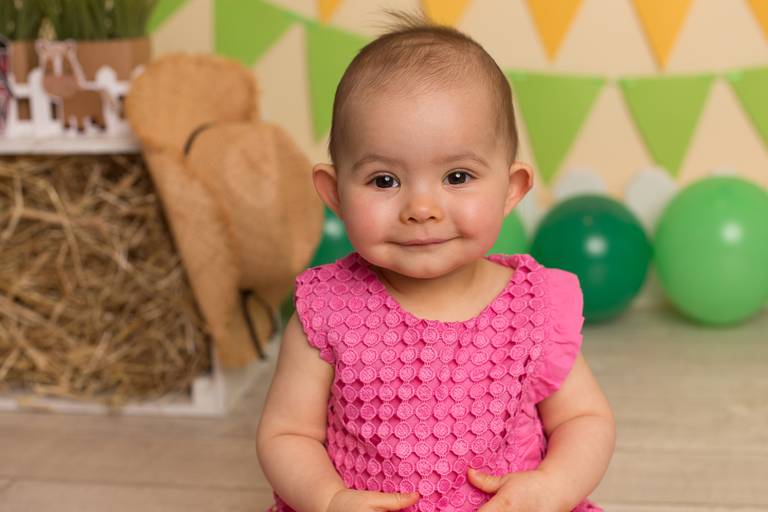 BabyDi, Smash the Cake animais da quinta, menina