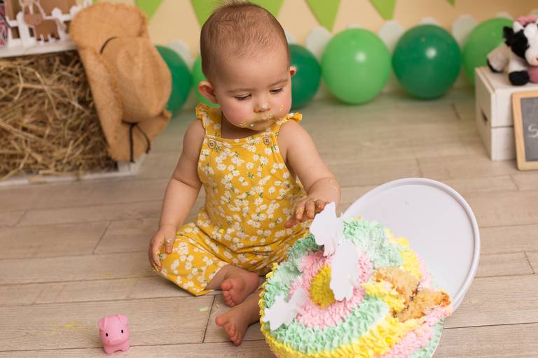 BabyDi, Smash the Cake animais da quinta, menina, bolo