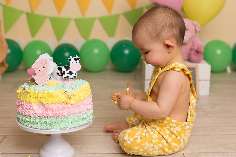 BabyDi, Smash the Cake animais da quinta, menina, bolo