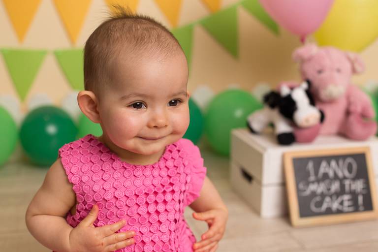 BabyDi, Smash the Cake animais da quinta, menina