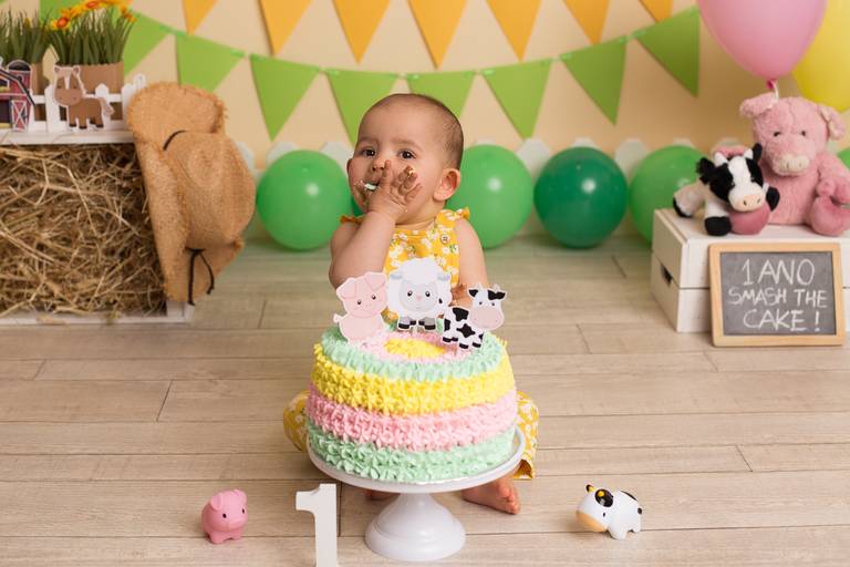 BabyDi, Smash the Cake animais da quinta, menina, bolo