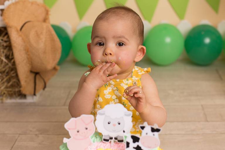 BabyDi, Smash the Cake animais da quinta, menina, bolo