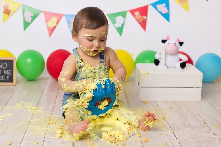 BabyDi, Smash the Cake, animais da quinta, bolo