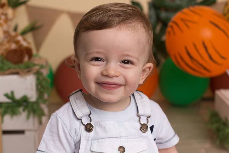 BabyDi, Smash the Cake, Animais da Selva