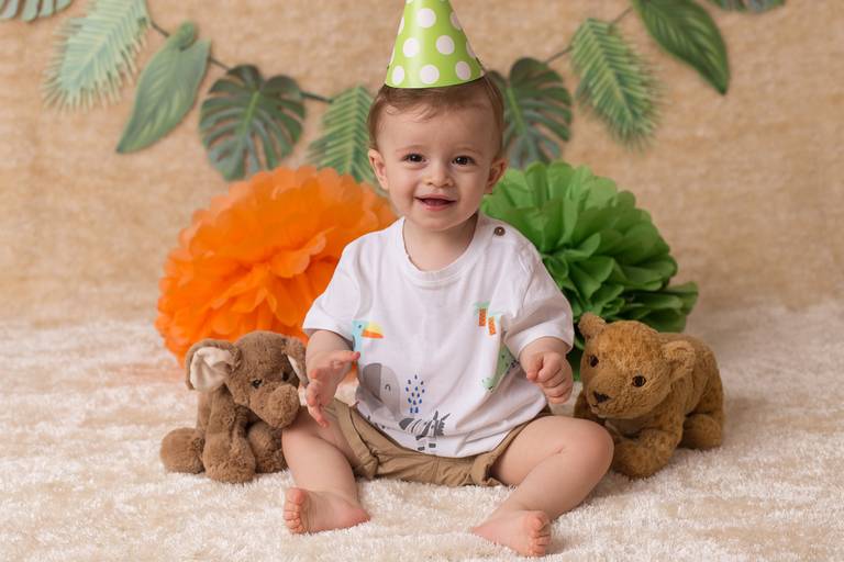 BabyDi, Smash the Cake, Animais da Selva