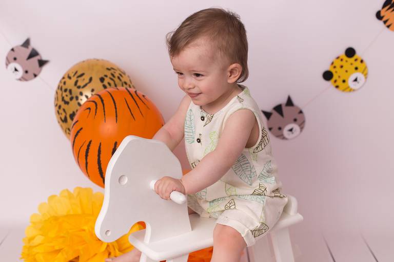 BabyDi, Smash the Cake, Animais da Selva