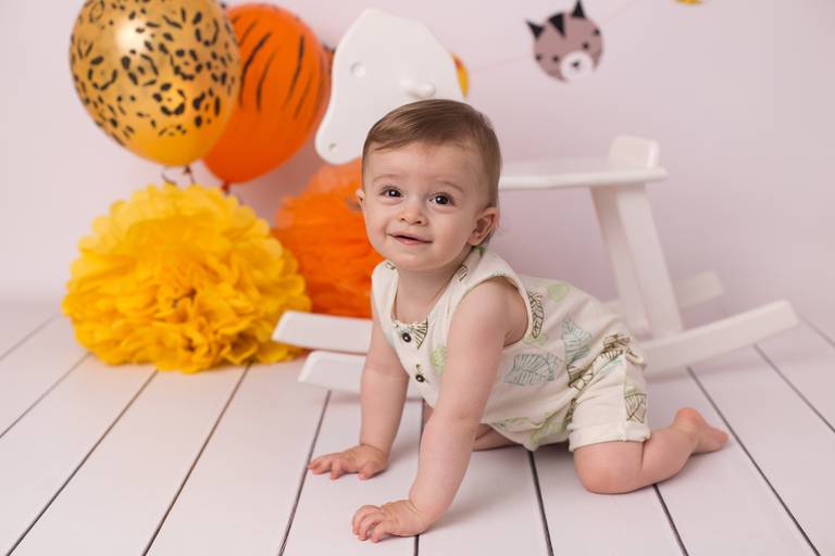 BabyDi, Smash the Cake, Animais da Selva