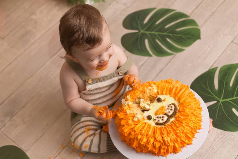 BabyDi, Smash the Cake, Animais da Selva, leão