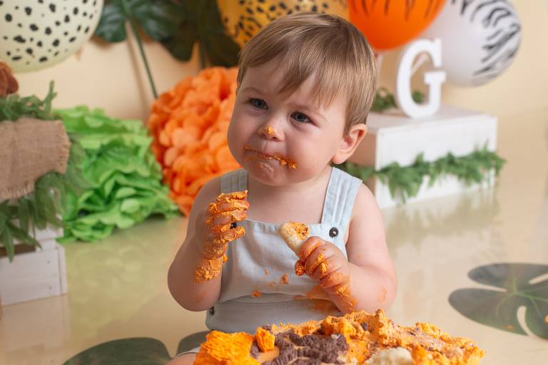 BabyDi, Smash the Cake, Animais da Selva, Sessão fotográfica bebés, oeiras, lisboa, cascais