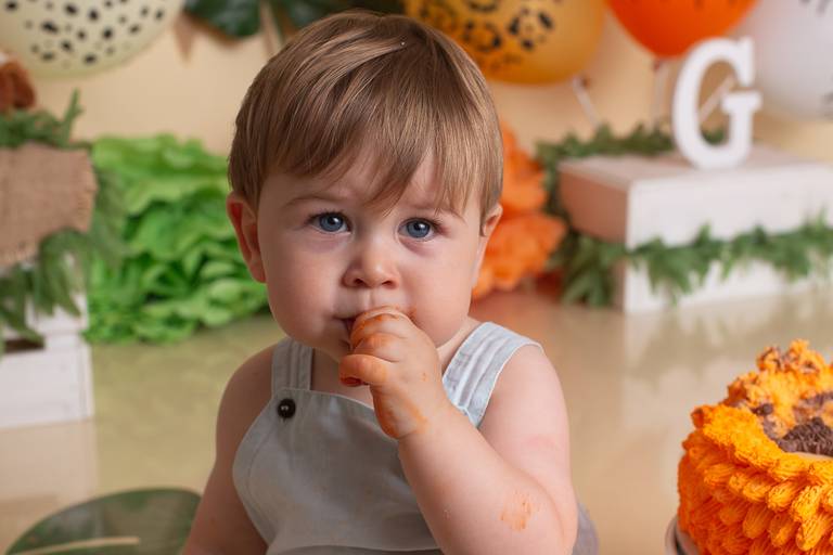 BabyDi, Smash the Cake, Animais da Selva, Sessão fotográfica bebés, oeiras, lisboa, cascais