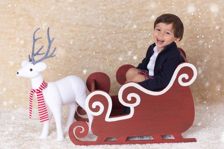 BabyDi, Sessão de Natal, oeiras, lisboa, fotografia bebés, trenó, rena