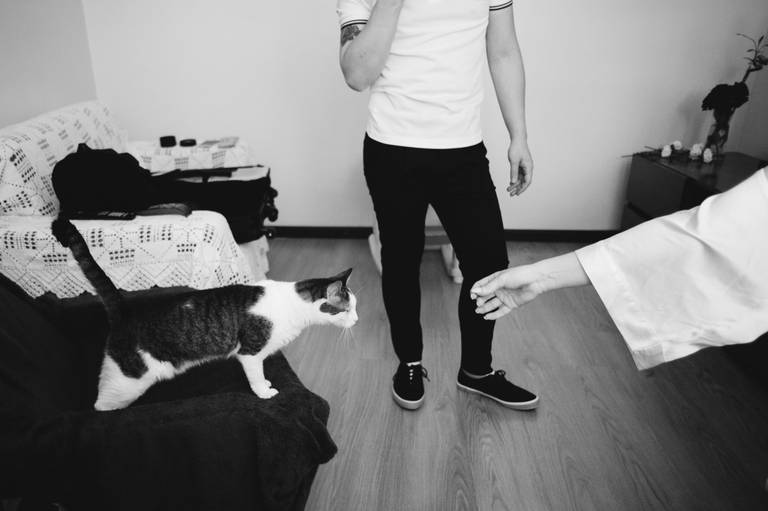 Pedro Pinto Fotografia