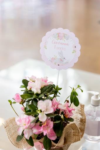 Giovanna 1 Ano | Happy Birthday - DF