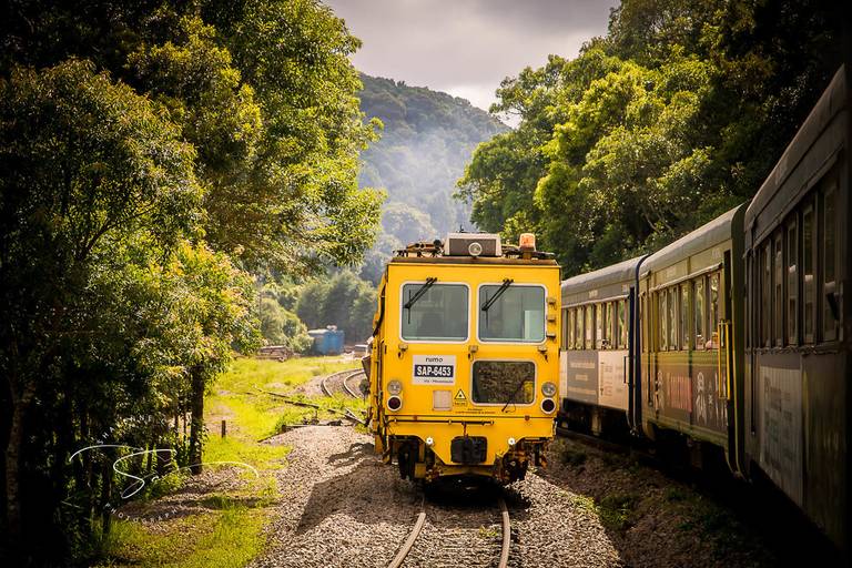 Passeio trem - Curitiba x Morretes