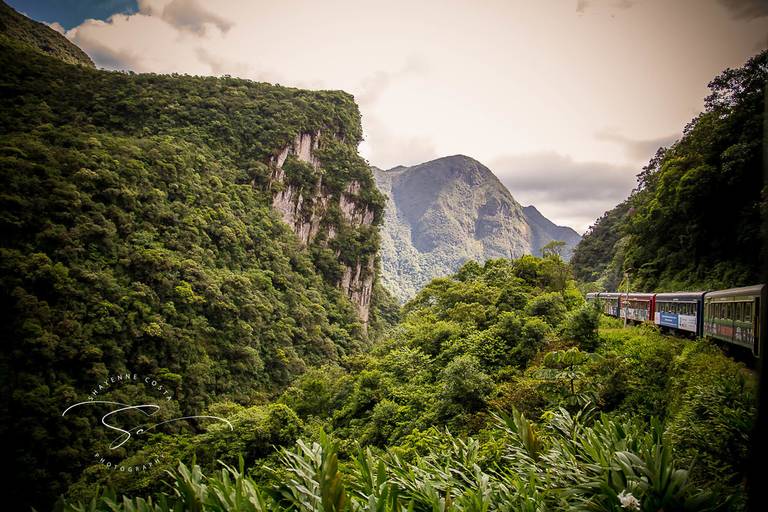 Passeio trem - Curitiba x Morretes