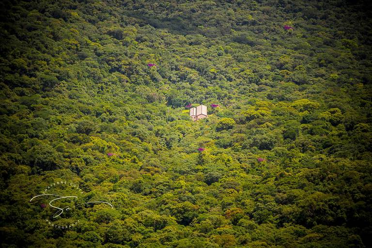 Passeio trem - Curitiba x Morretes