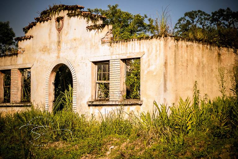 Passeio trem - Curitiba x Morretes