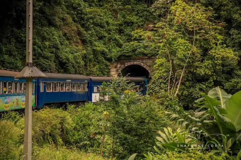 Passeio trem - Curitiba x Morretes