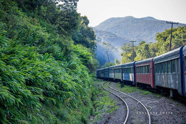 Passeio trem - Curitiba x Morretes