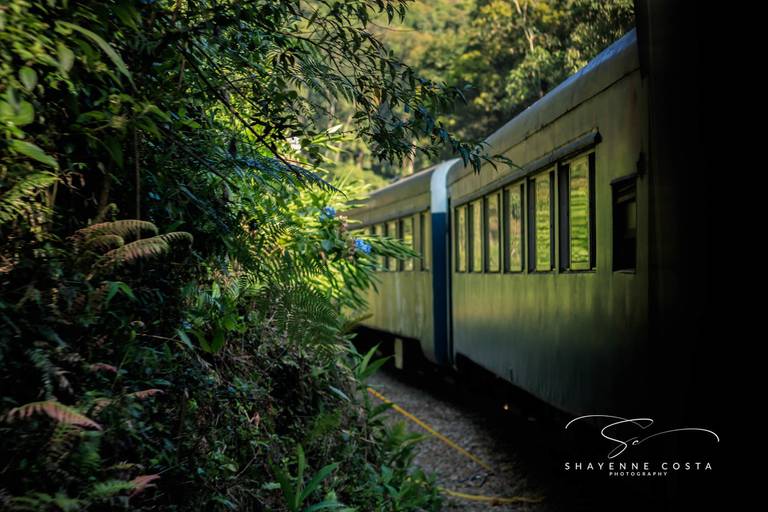 Passeio trem - Curitiba x Morretes