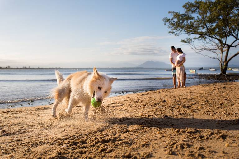 Fotógrafo de gestante, Niterói, Rio de Janeiro, grávida, Fotografia de gestante