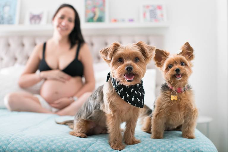 Fotógrafo de gestante, Niterói, Rio de Janeiro, grávida, Fotografia de gestante