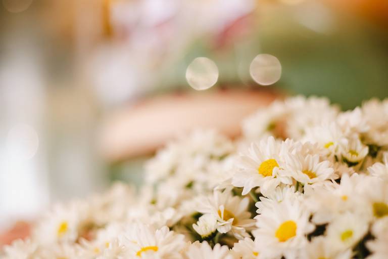 Decoração margaridas