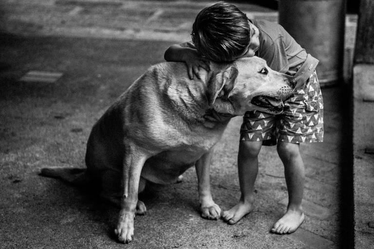 menino abraçando cachorro labrador