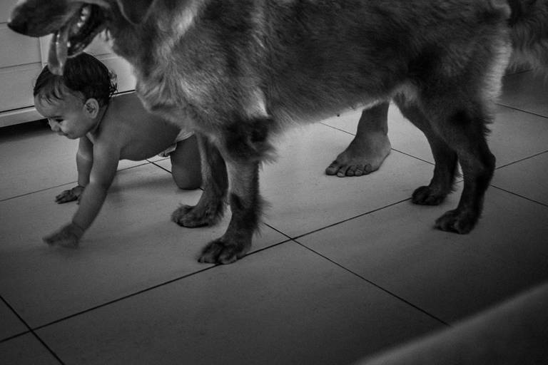 bebe e cachorro no chão