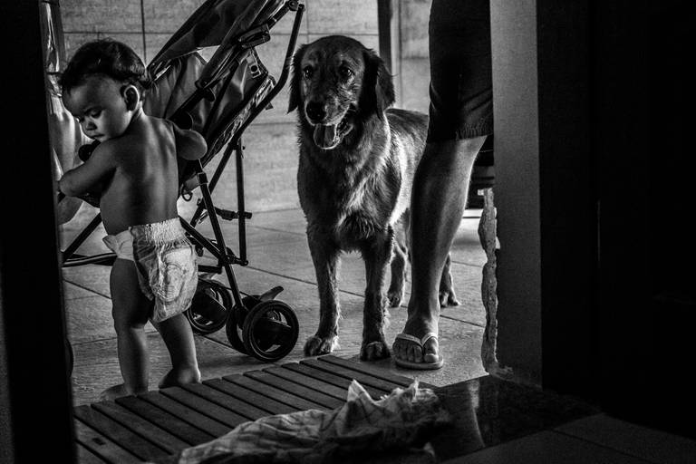 bebe brincando com carrinho e cahorro