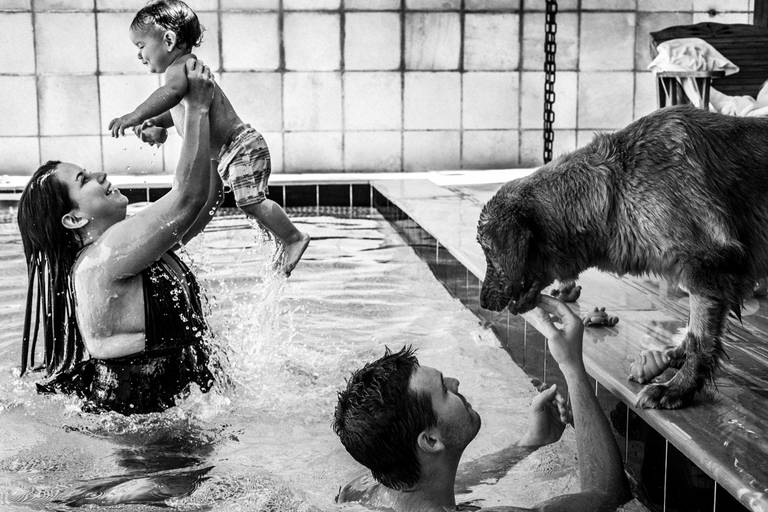 família na piscina com cachorro