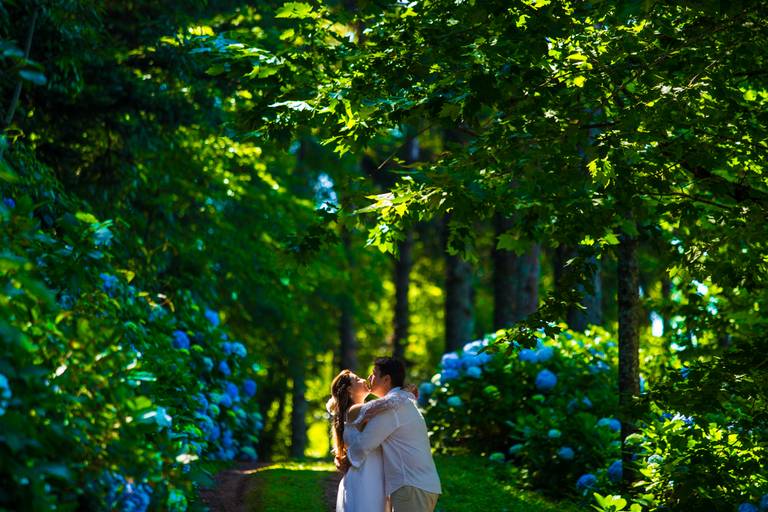 noivos se beijando no caminho de hortênsias em Gramado-RS