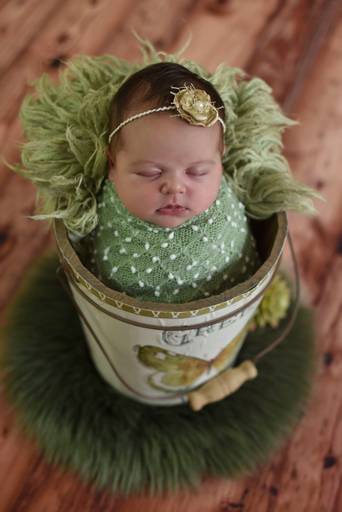 melhorfotografanewborn,estudiofotografia,amormaior, odeceixemaravilha,Algarve,fotografianewborn, sweetbabyfotografia,bebe,recemnascido,grávida, maternidade,fotografiafamilia,balde,susananovaisfotografia,asmaisbonitasfotografias,enroladinho,verde