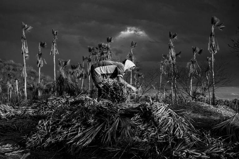 © Jean Lopes. Bravos, 2007. Vencedora do 21º Concurso Latinoamericano de Fotografia Documental Los Trabajos y los dias (2015); Vencedora do Prêmio Petrobras de Jornalismo (2015); Vencedora do Concurso de Fotografias Zeiss (2021); Finalista do HIPA (2013)