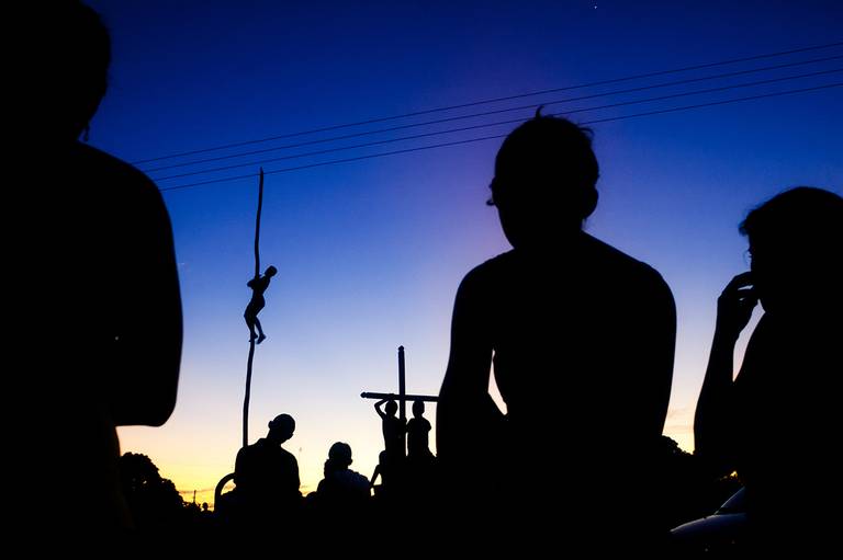 © Jean Lopes. Pau de sebo, 2007. Vencedora do Concurso Fotográfico 