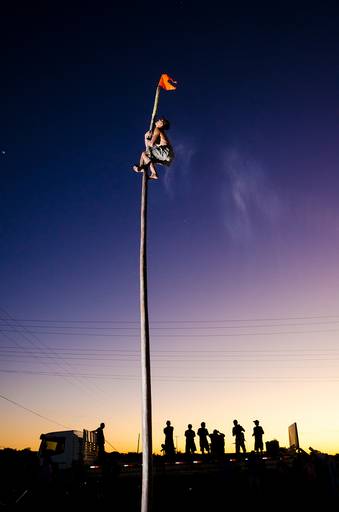 © Jean Lopes. Pau de sebo, 2011. 2º lugar co Concurso Fotografe 20 anos, 2017