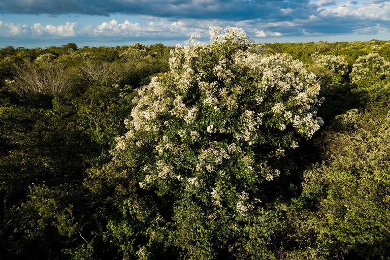 Fotografia aérea Rio Grande do Norte
Foto © Jean Lopes
#fotografiadedrone
#dronern
#fotografiaaerea
#riograndedonorte
#energiaeolica
#parqueeolico
#aerogerador