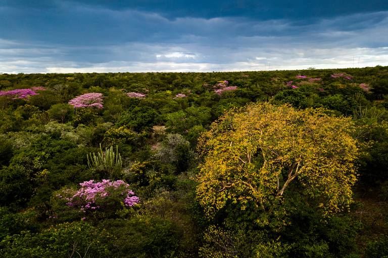 Fotografia aérea Rio Grande do Norte
Foto © Jean Lopes
#fotografiadedrone
#dronern
#fotografiaaerea
#riograndedonorte
#energiaeolica
#parqueeolico
#aerogerador