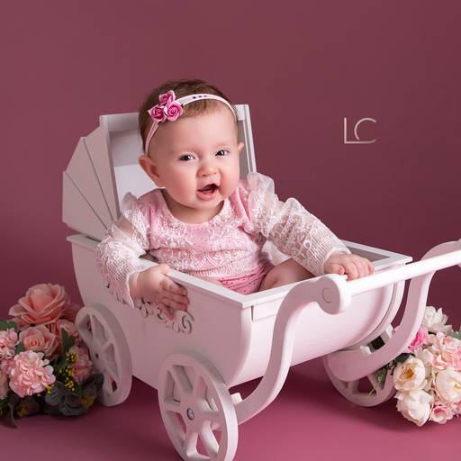 Laura ♥ 6Meses
Acompanhamento Trimestral do Bebê