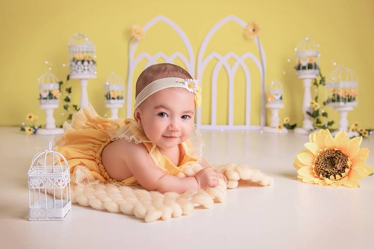 Maria Alice ♥ 6 Meses
Acompanhamento Trimestral do Bebê