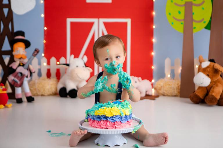 Arthur ♥ Fazendinha do Bita
Smash The Cake em Porto Alegre