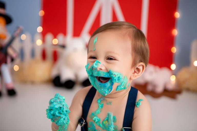 Arthur ♥ Fazendinha do Bita
Smash The Cake em Porto Alegre