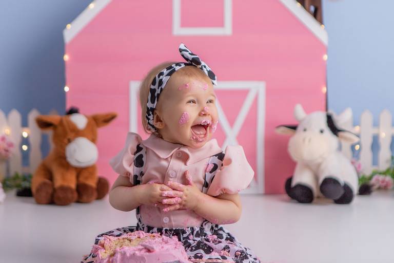 Júlia ♥ Fazendinha Rosa
Smash The Cake em Porto Alegre