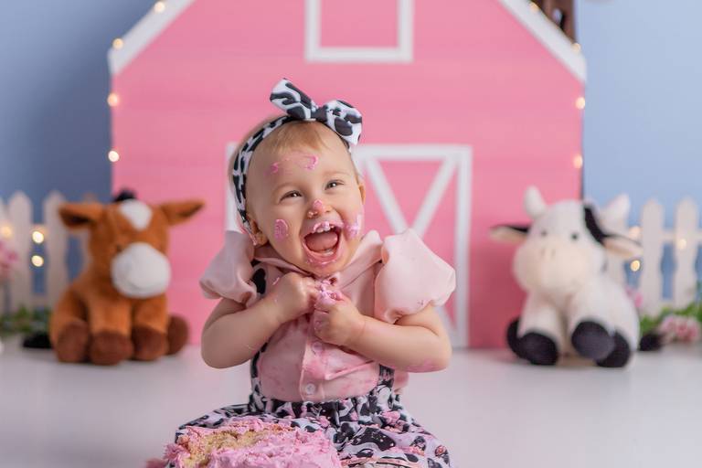 Júlia ♥ Fazendinha Rosa
Smash The Cake em Porto Alegre