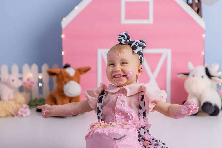 Júlia ♥ Fazendinha Rosa
Smash The Cake em Porto Alegre