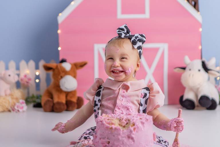 Júlia ♥ Fazendinha Rosa
Smash The Cake em Porto Alegre
